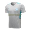 Manchester City Trainingsshirts Suit 2022-23 Hellgraue Für Herren